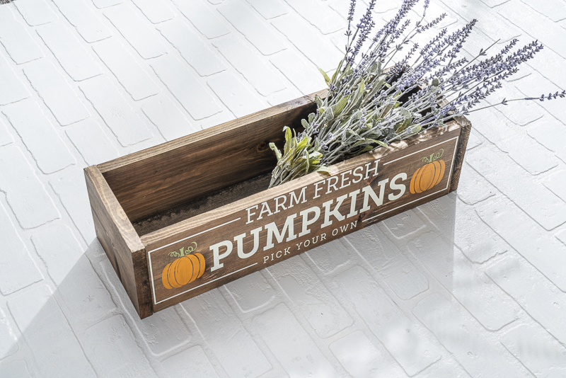 Lg Box Pumpkins - props