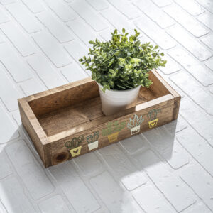 The Sm Box Succulents - props sits in a painted wooden tray on a sunlit white brick floor. - Spruced Studio Upscale Workshop