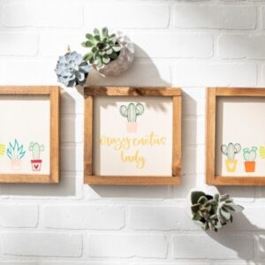 Three 9x9 "Crazy Cactus Lady" framed prints with potted plant illustrations hang on a white brick wall, surrounded by small succulents above and below as props. - Spruced Studio Upscale Workshop
