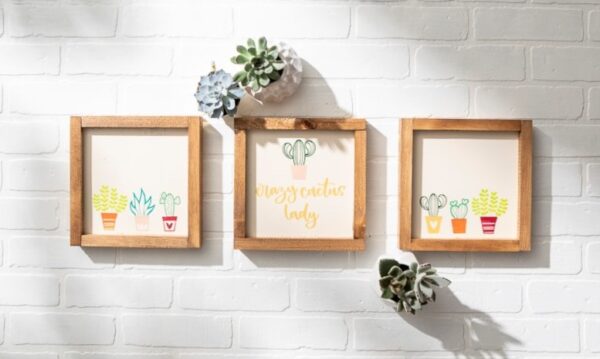 Three 9x9 "Crazy Cactus Lady" framed prints with potted plant illustrations hang on a white brick wall, surrounded by small succulents above and below as props. - Spruced Studio Upscale Workshop