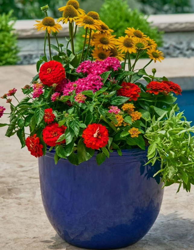 Sun pot example Hello - 16" Welcome Sign