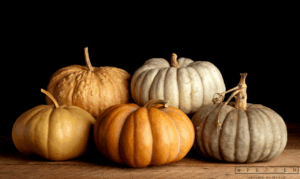 Five pumpkins of various shapes and colors—orange, tan, and gray—are arranged on a wooden surface against a black background. - Spruced Studio Upscale Workshop