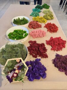 Several piles of preserved moss in various colors, including green, yellow, pink, red, and purple, are arranged on a table along with bowls and a small decorative box. - Spruced Studio Upscale Workshop