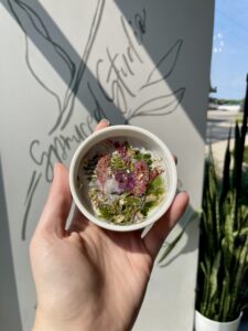 A hand holds a small white dish containing pressed flowers and greenery. The background shows a wall with "Spruced Studio" written on it and some leaves drawn in line art. - Spruced Studio Upscale Workshop